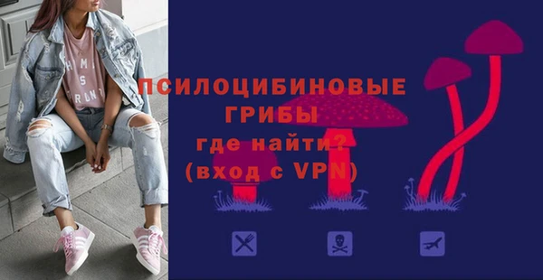 сатива Баксан