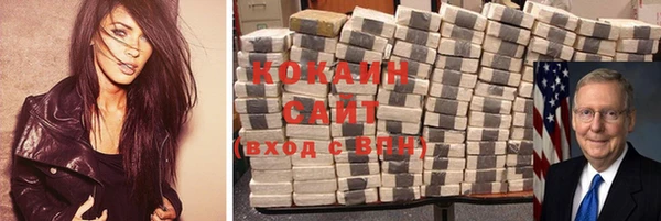 трава Белокуриха