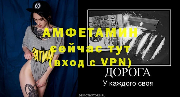 сатива Баксан